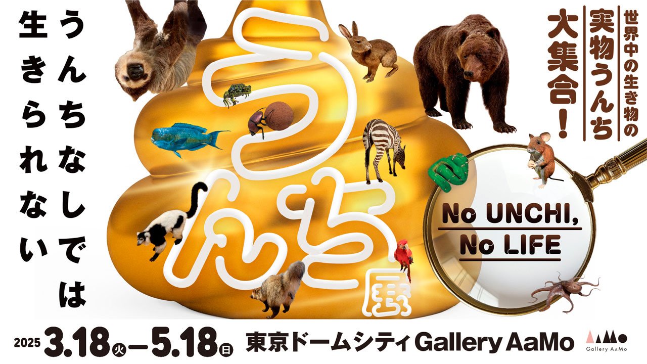 🎨 갤러리 아모(Gallery AaMo) 이미지 4